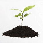 Чернозем - Строительные материалы в Санкт-Петербурге купить с доставкой