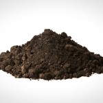 Чернозем плодородный - Строительные материалы в Санкт-Петербурге купить с доставкой